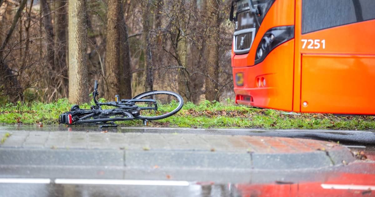 Fietser zwaargewond na botsing met bus in Steenbergen - BN DeStem.