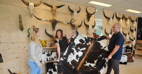 Cows More Opent Eerste Winkel In Dordrecht Dordrecht Ad Nl