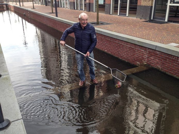 200 goudwindes mogen blijven in Brouwersgracht | |