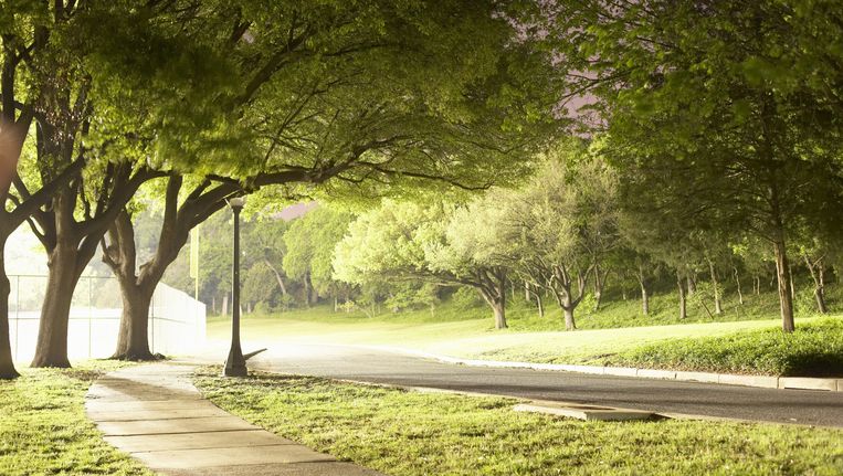 null Beeld thinkstock