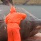 Miley laat walvis exploderen