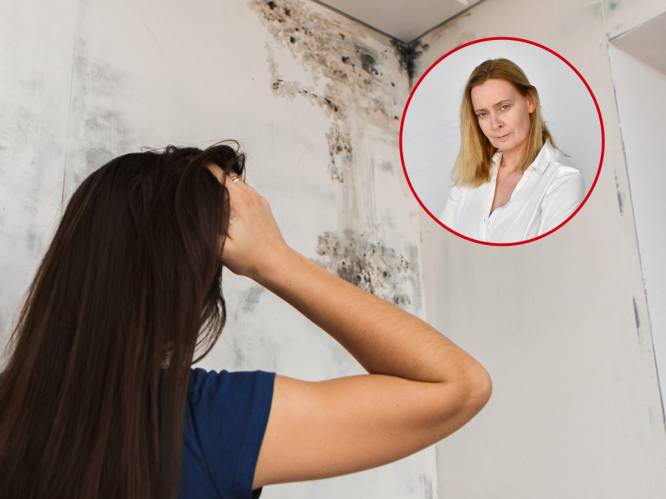 Jammer dat je geen schimmel kunt eten, anders was het energieprobleem snel opgelost - en andere verhalen uit Enschede