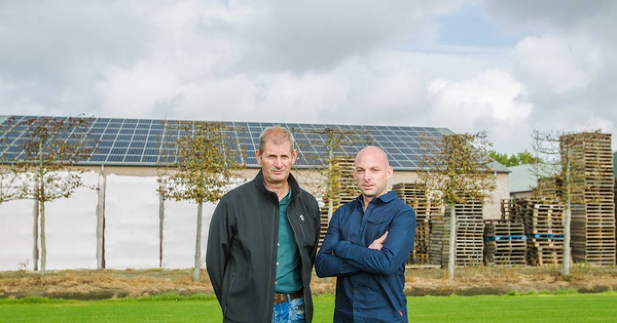 Ook zonnepanelen pakken ze in Elsendorp samen aan