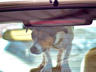 Hond gered uit oververhitte wagen, baasje reageert woest