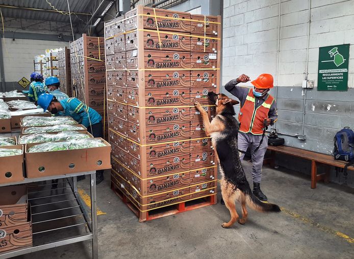 Een drugscontrole in de haven van Uraba, Colombia.