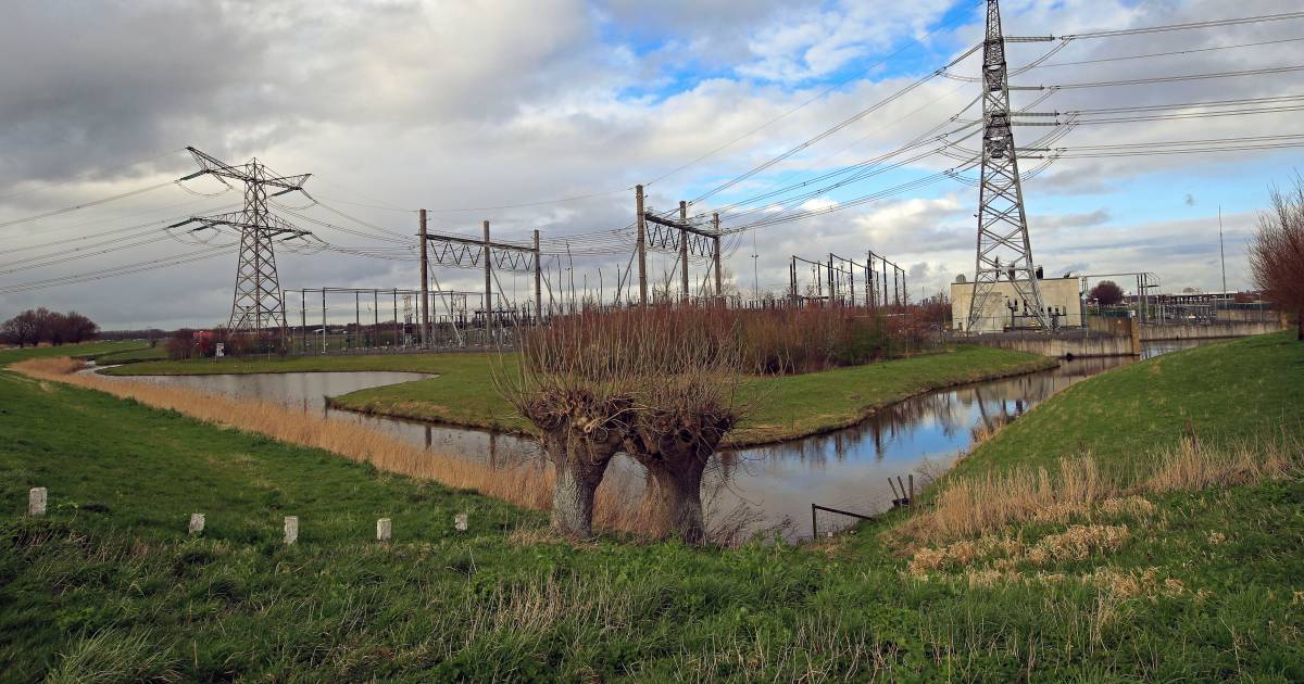 Honderen bezwaren verwacht tegen waterstoffabriek in polder: ‘Maak er geen derde Maasvlakte van’ | N