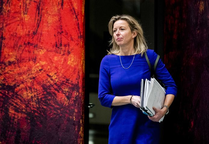 Kajsa Ollongren, minister van Binnenlandse Zaken, eerder deze week tijdens het debat over de intrekking van de Wet raadgevend referendum.