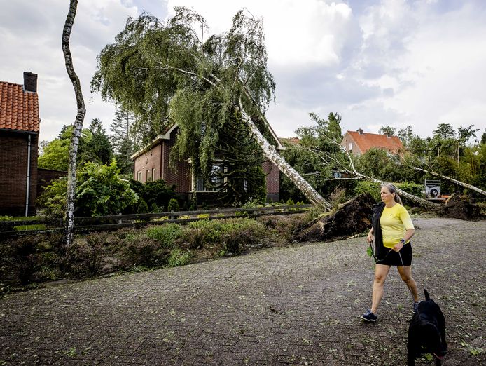 De stormschade op de Utrechtse Heuvelrug was groot na de storm van 18 juni.