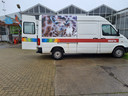 De bus van Burgers' Zoo waarmee de cactussen uit Ruurlo onlangs zijn opgehaald.