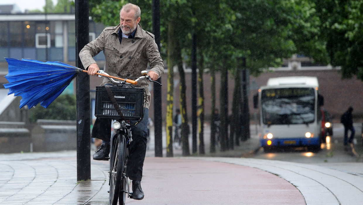 Het roekeloze image van fietsers in Amsterdam is nergens op gebaseerd. Beeld ANP
