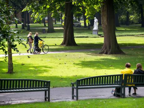 Breda in de bres voor bijen: onderzoek naar nog minder grasmaaien in mei