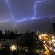 Paarden dood door bliksem