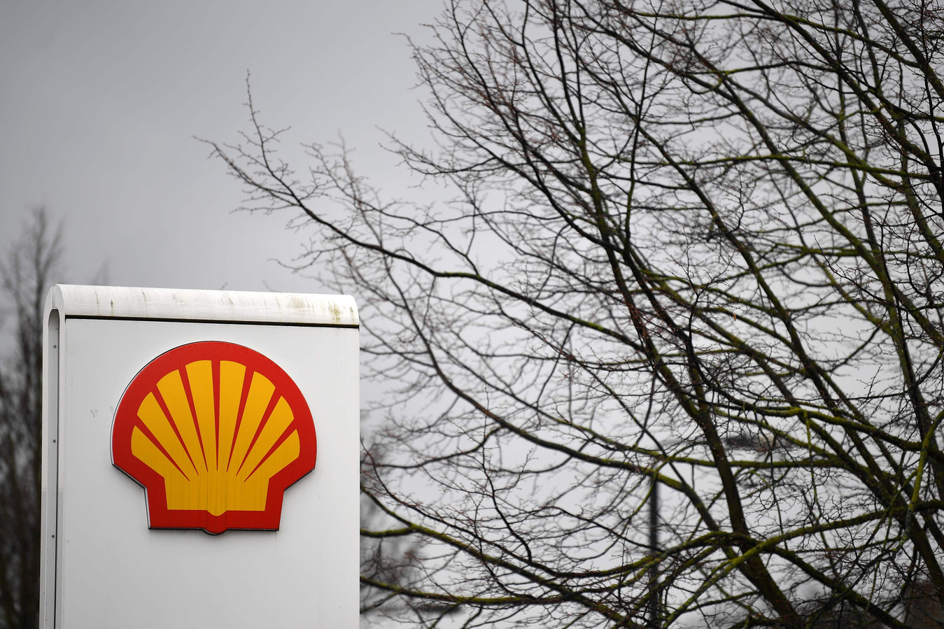 Shell