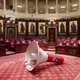 'Superdemocratie' in de Senaat: kunst in rood pluche