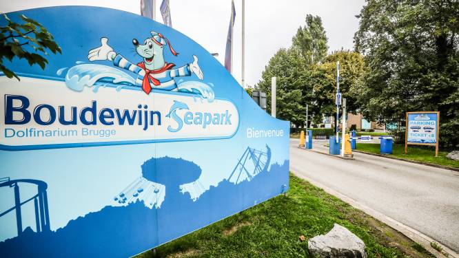 Nieuw zomerseizoen in Boudewijn Seapark in het teken van zestigste verjaardag