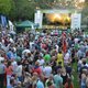 Gratis muziekfestival in Breda: Palm Parkies