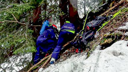 3. Sortie de piste dans les sapins