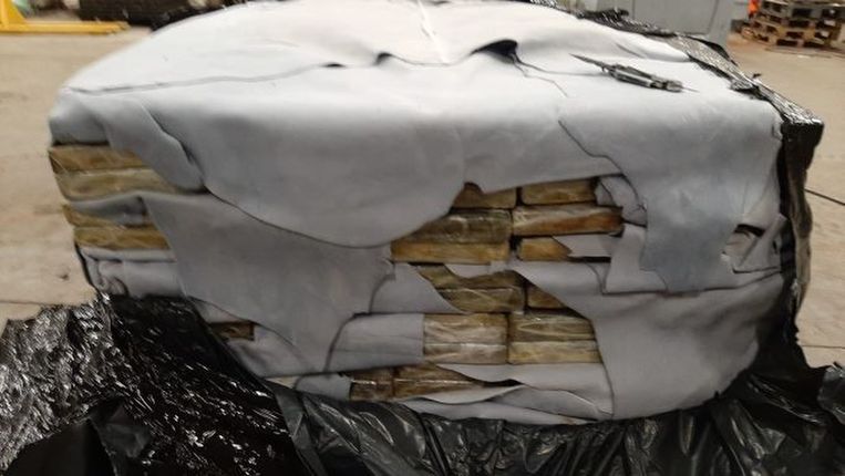 In april kwam de politie ook al naar buiten met foto's van 11 ton cocaïne die in de haven van Antwerpen werd onderschept, mede dankzij de ontcijferde Sky ECC-berichten. Beeld BELGA