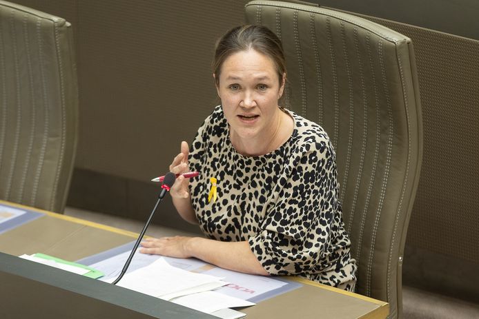 Vlaams parlementslid en fractieleider Hannelore Goeman (Vooruit).