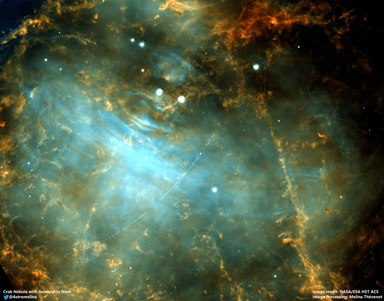 Hubble-opname van de Krabnevel. Het zwakke, gebogen lichtspoor op de foto is veroorzaakt door een passerende planetoïde.  Beeld M. Thévenot  / ESA / NASA / Hubble