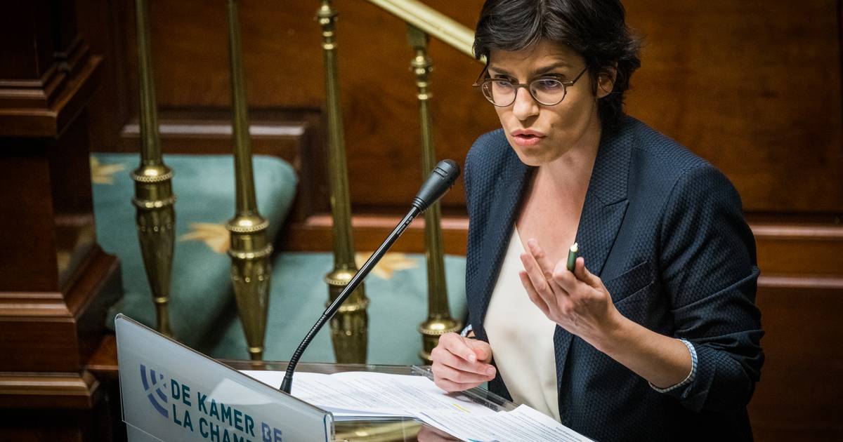 Van der Straeten mette sul tavolo del governo un rinnovato contributo alla crisi dei produttori di energia |  interno