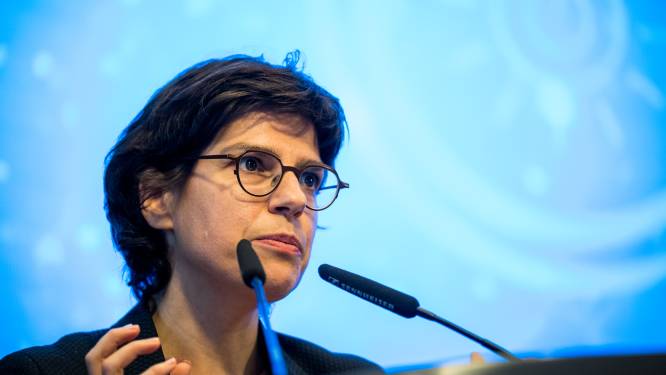 Raad van State stelt kritische vragen bij plannen voor overwinstbelasting energiebedrijven