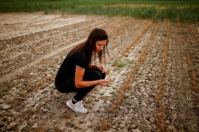 Boerin Federica Vidali (29) in een veld dat beschadigd werd door zout zeewater.