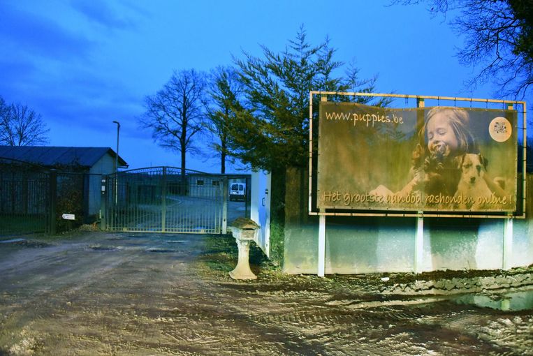 De vestiging van Kempenaars Kennel aan Bos Dellen in Kasterlee.