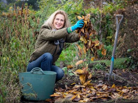 Dit is hét geheim voor een stralende tuin