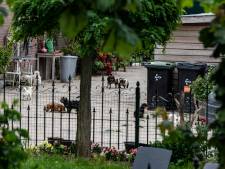 95 honden bij Bert’s Animal Verhuur en meer illegaals: West Maas en Waal grijpt (weer) in