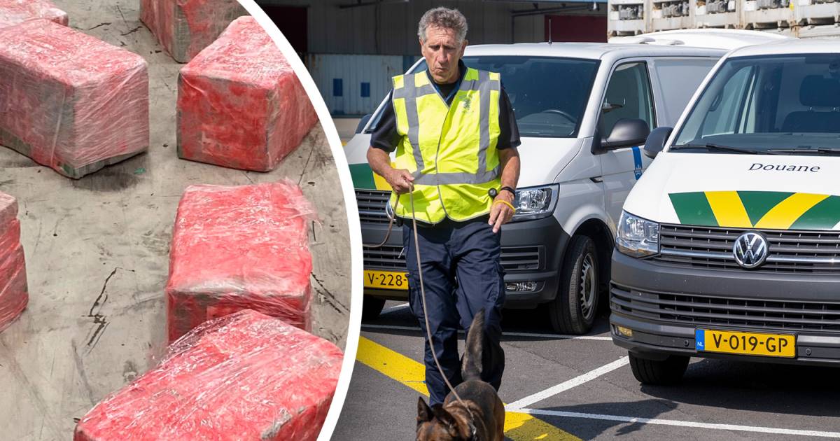Douane meldt drugsvondst in haven Vlissingen in april nu pas vanwege ...