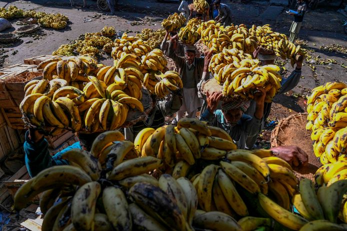 Ook bananenboeren krijgen volgens Solidaridad veel te lage prijzen.