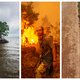 ▶ Wat heeft Vlaanderen te vertellen op de klimaattop? ‘We doen beloftes op steroïden, maar het is beter dan vroeger’
