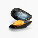 Mossel.