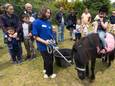 Om wat inkomsten binnen te halen, vraagt kinderboerderij Rosorum om entree en een bijdrage bij de attracties.