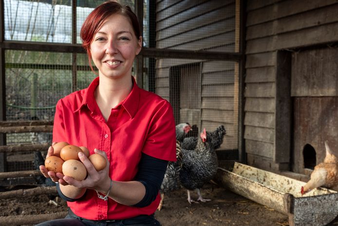 Melissa Woestenberg met handen vol eieren bij de Menmoerhoeve. Die Etten-Leurse horeca- en kampeerlocatie verkoopt ook (op kleine schaal) eieren van eigen kippen.