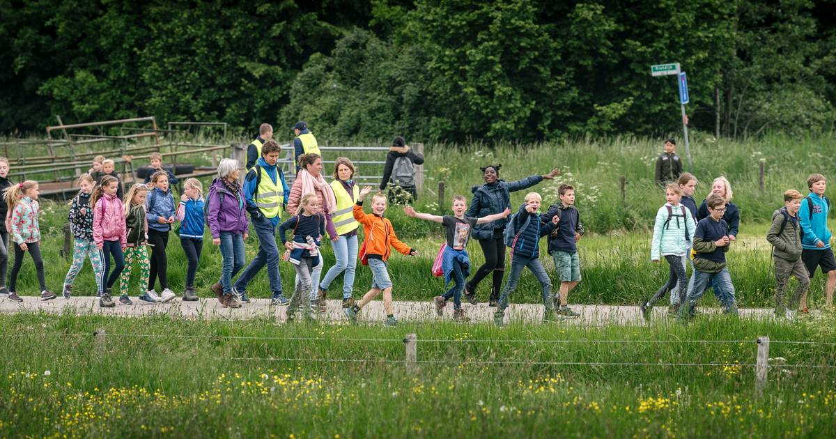 Avondvierdaagse in Houten ‘Oma staat gewoon weer met de snoepketting