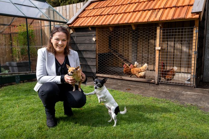 Huisdier Dood Een Laatste Aai En Dan Cremeren Zonder Dat Vuur Eraan Te Pas Komt Waalwijk Heusden E O Bd Nl