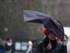 Les parcs de Bruxelles fermés à partir de 17h