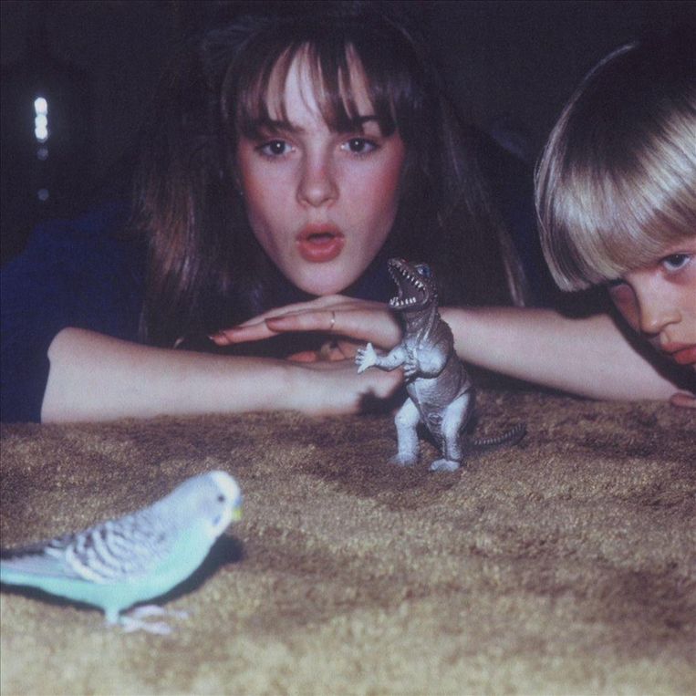 The cover of Masterpiece, Big Thief's debut album, contains a childhood picture of Adrianne Lenker's mother.  Picture 