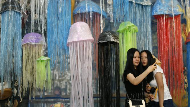 In 2050 is er meer plastic dan vis in de zee