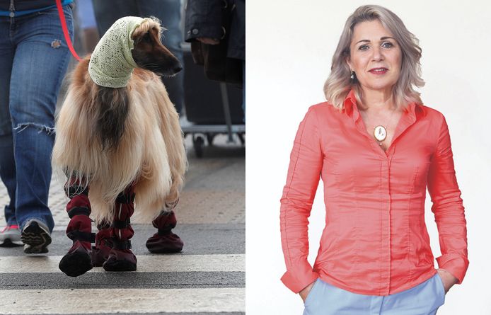 Ook Afghaanse dieren moeten gered worden, vindt columnist Annelies Vlaanderen
