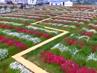 Chinese bloemenzee lokt massa toeristen
