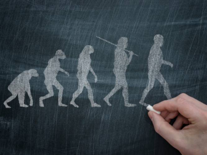 Neanderthalers liepen net als wij rechtop