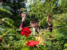 Prachtige tuinen van De Wiersse tussen Ruurlo en Vorden vaker open: ‘Interesse voor natuur groeit’