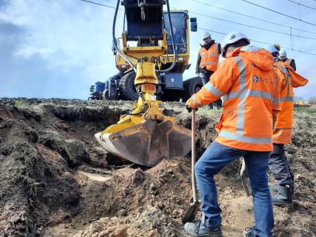 Dassen onder het spoor bij Esch lijken zelf te zijn vertrokken: ‘Bijna aan het einde, geen das gezien’