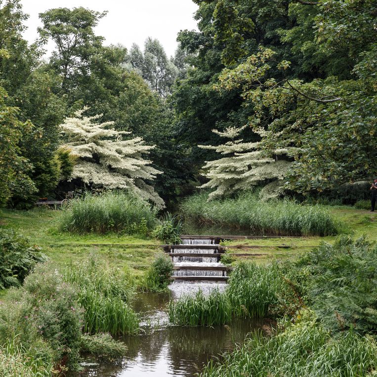 Het Westerpark, waar het dode damhert werd aangetroffen Beeld Carly Wollaert