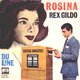 Rex Gildo kon dan wel zingen over Rosina en bekogeld worden met damesondergoed, hij viel op mannen