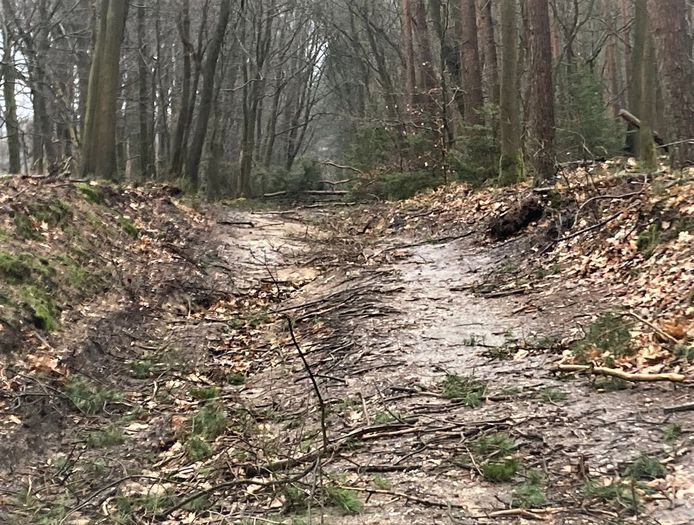 Had hier de ambulance overheen gekund bij een noodgeval in Radio Kootwijk? Zo lag de noodweg erbij nadat Dudley, Eunice en Franklin hun werk hadden gedaan.