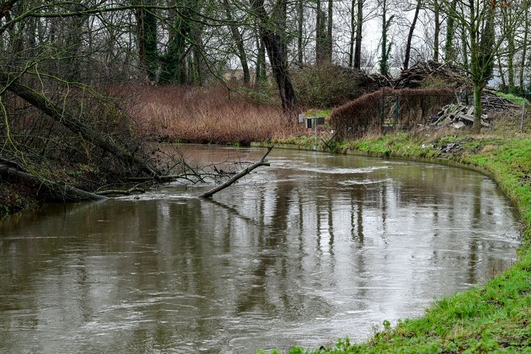 Hoge waterstanden in Vlaams-Brabant op maandag. Beeld Photo News